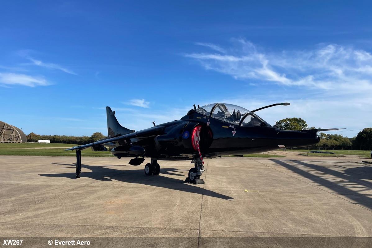 ロッド Assault Jet TypeX 81 Demobbed - Out of Service British Military Aircraft